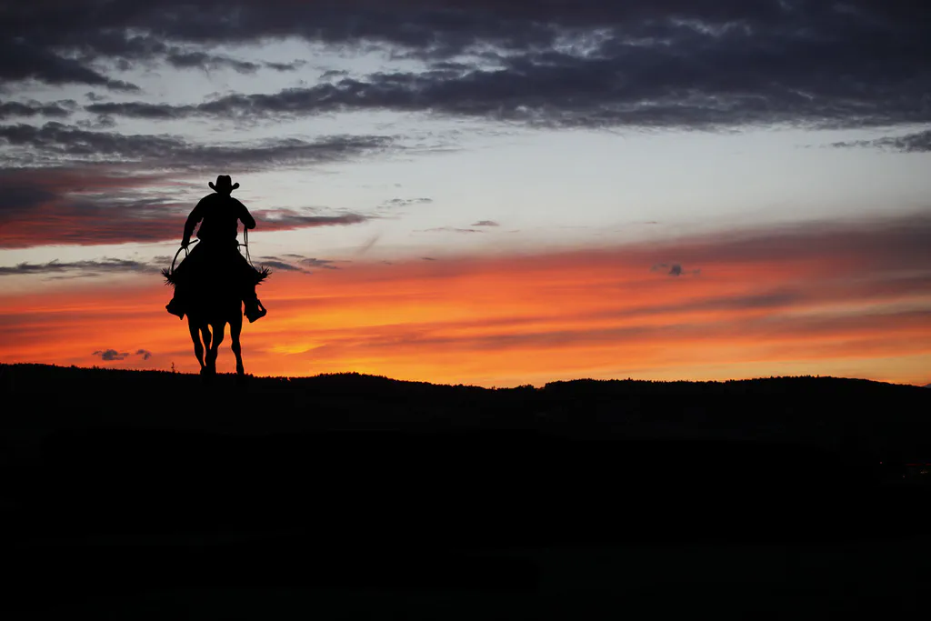 Texas Ranch Realty Insights: Selecting Your Perfect Ranch
