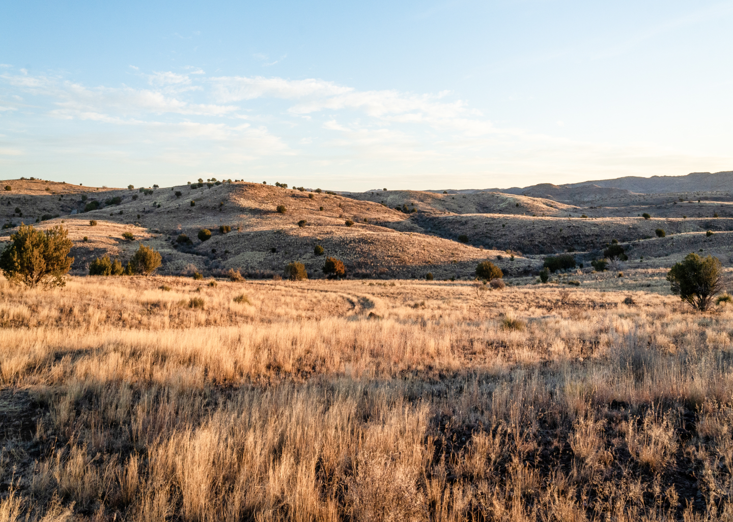 Texas Land Brokerage - Browse By Location Image