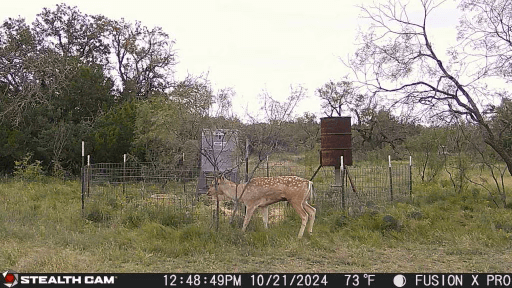 Sutton 860 Ranch  Image