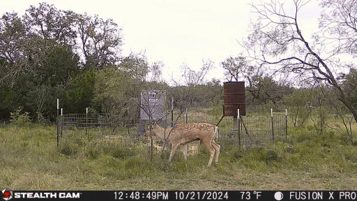 Sutton 860 Ranch Image
