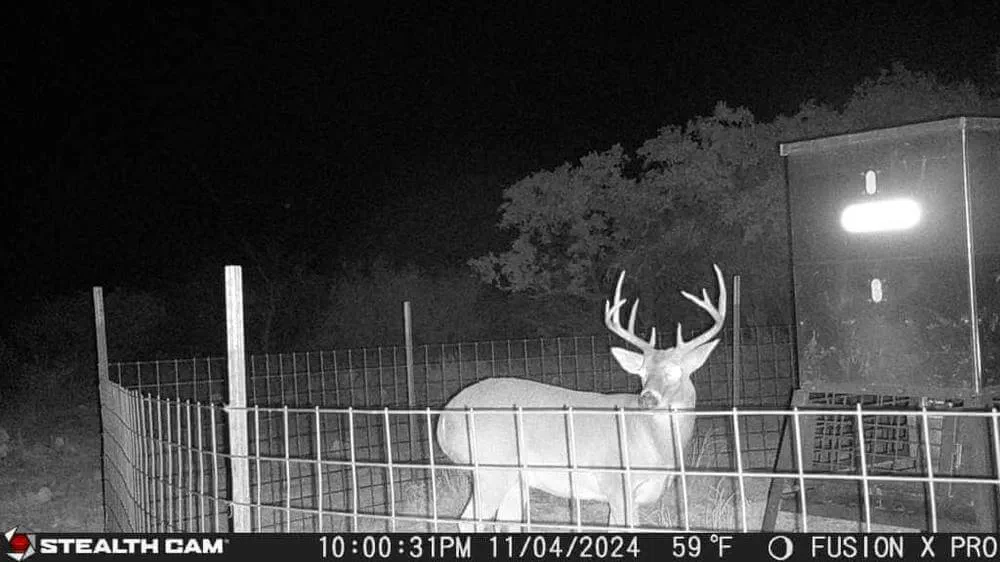 Sutton County Ranch Land