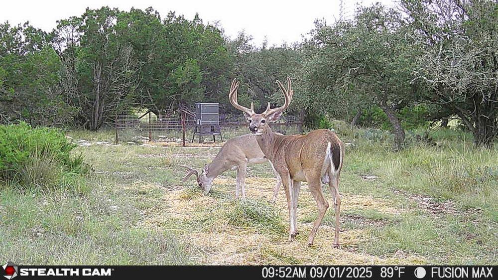 Venado Creek Ranch Image