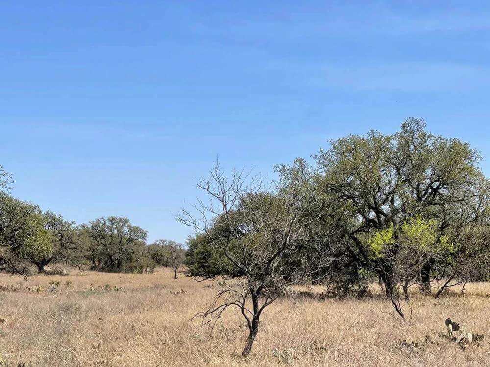 McCulloch County Ranch Land