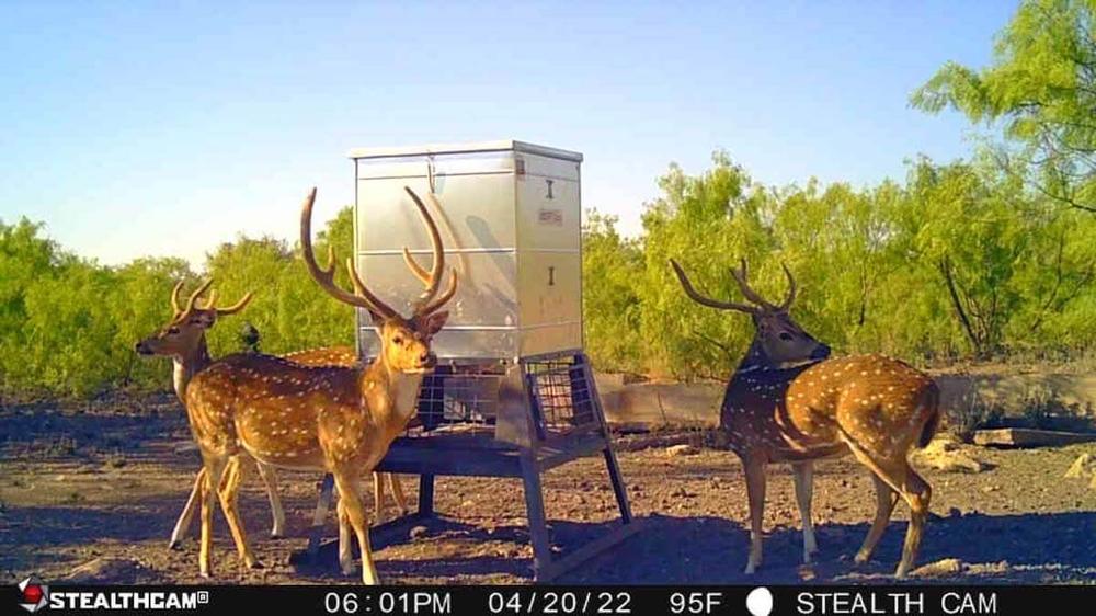 Heritage Ranch Image