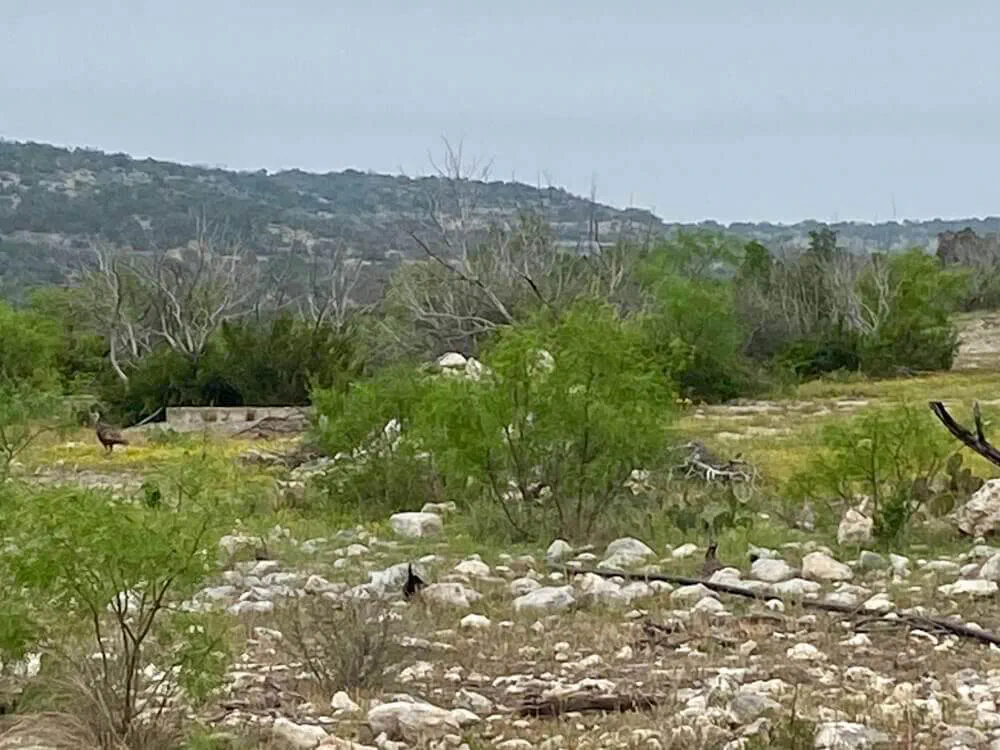 High Lonesome Plateau Ranch II Image