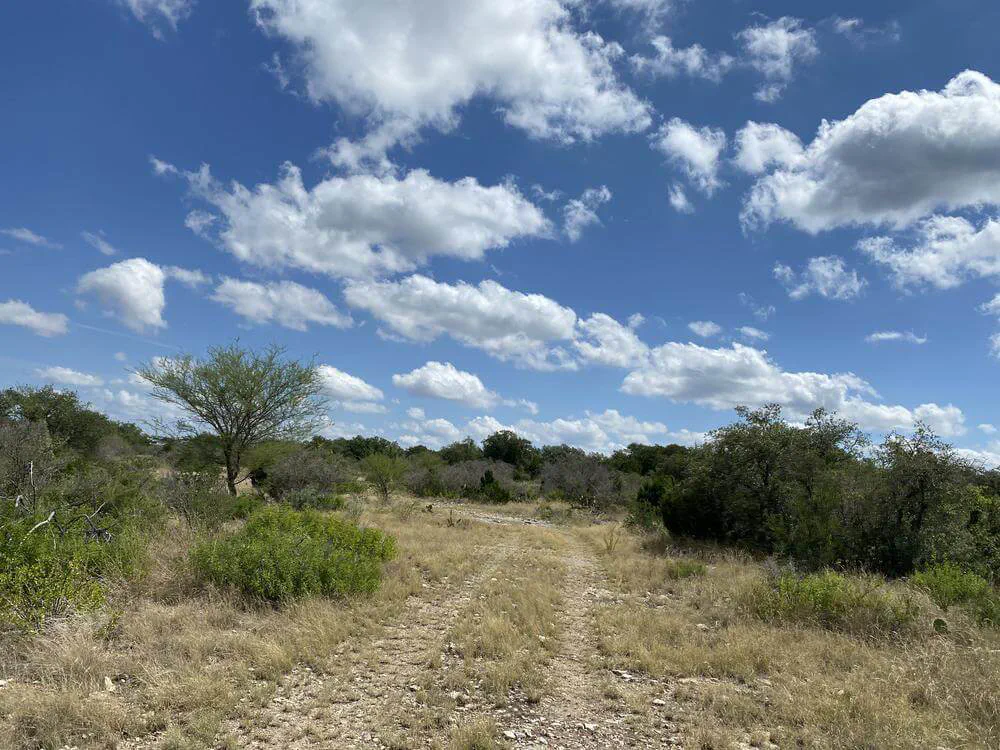 Edwards Property Landscape Banner