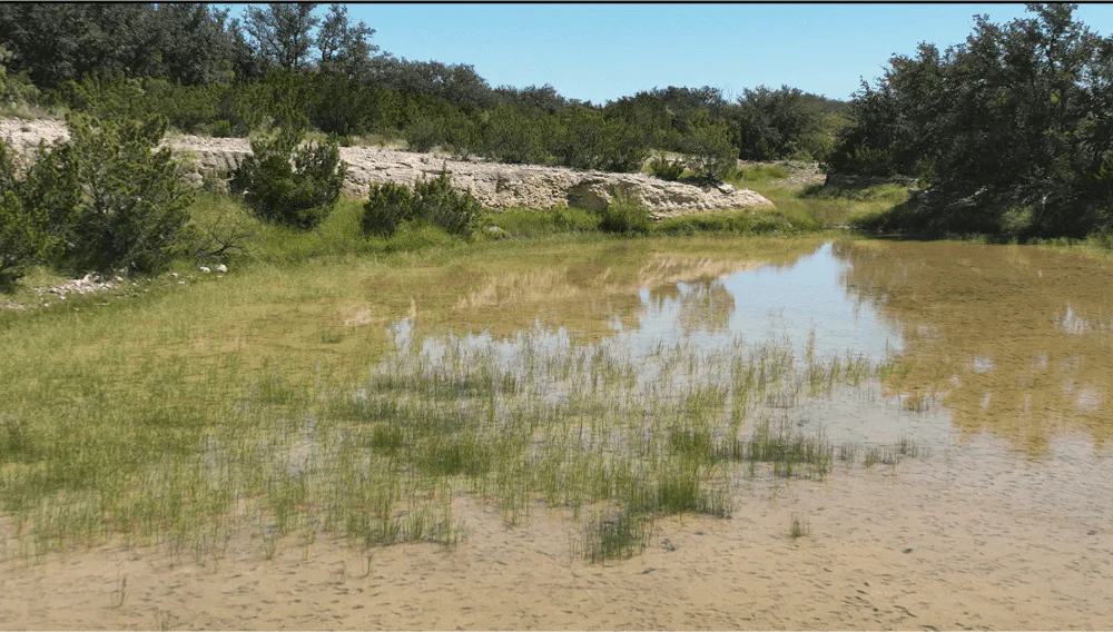 Sutton County Hunting Land