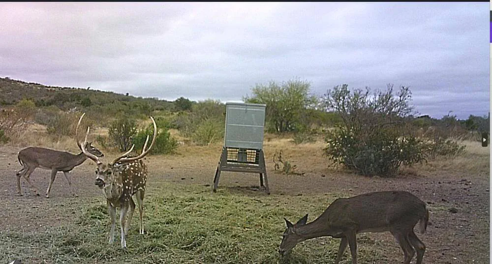 7K Ranch Tracts Image