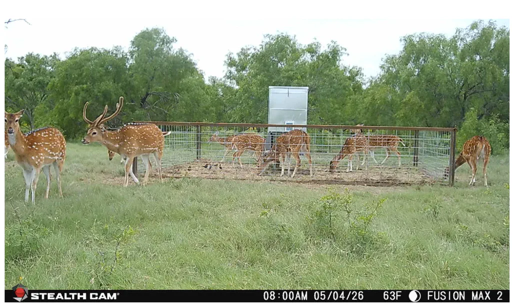 Pinto Creek Ranches Image