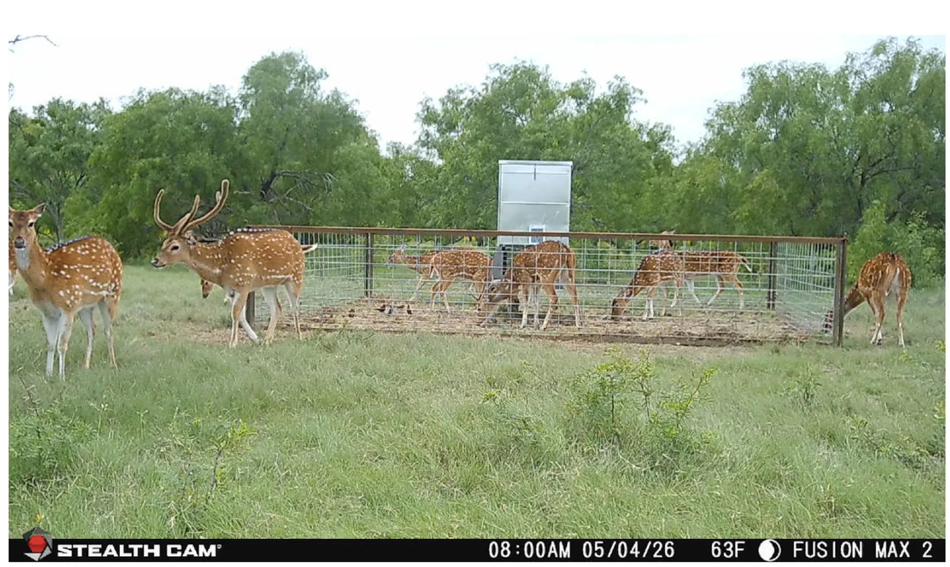 Pinto Creek Ranches Banner Image