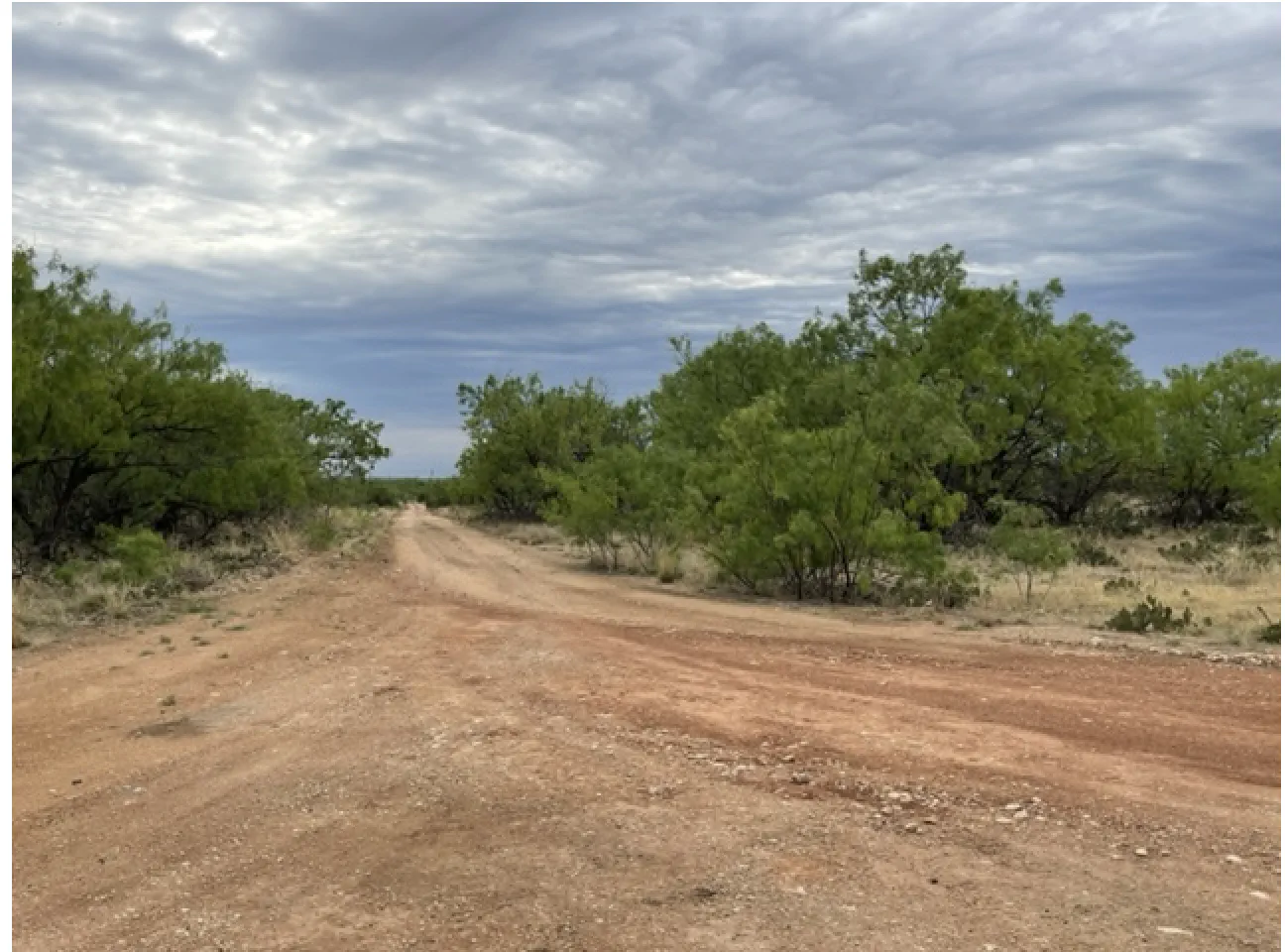 Silver Creek Ranch Banner Image
