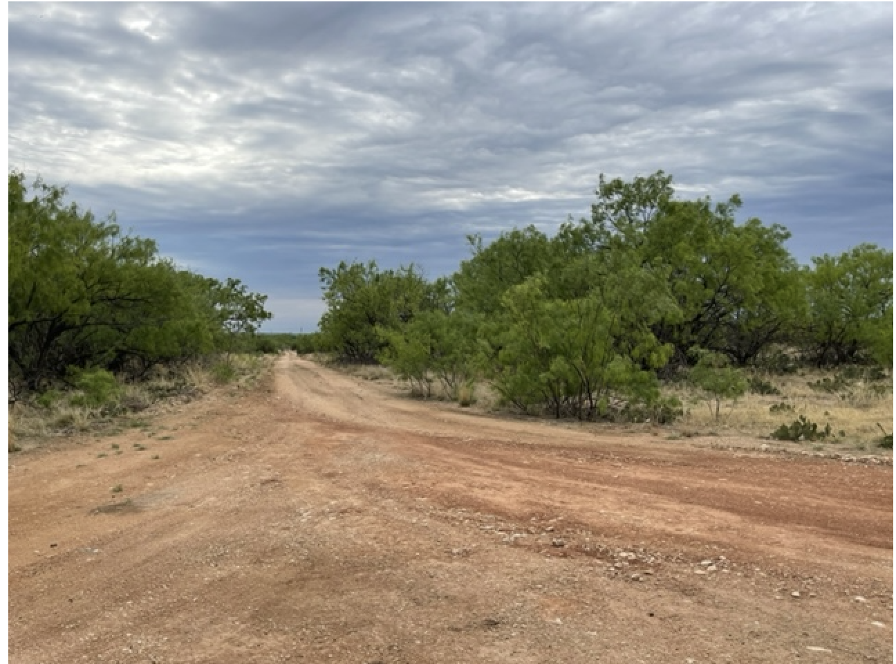Silver Creek Ranch Banner Image