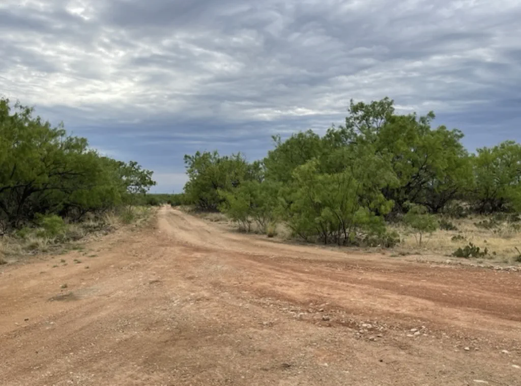 Coke County Land Guide: What Buyers Should Know About Robert Lee, Silver & Lake Spence Country