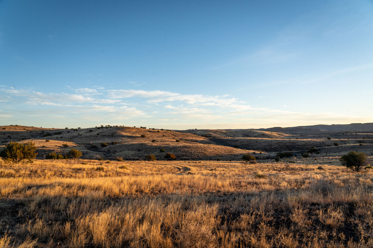 Texas Ranch Land for Sale Landscape View