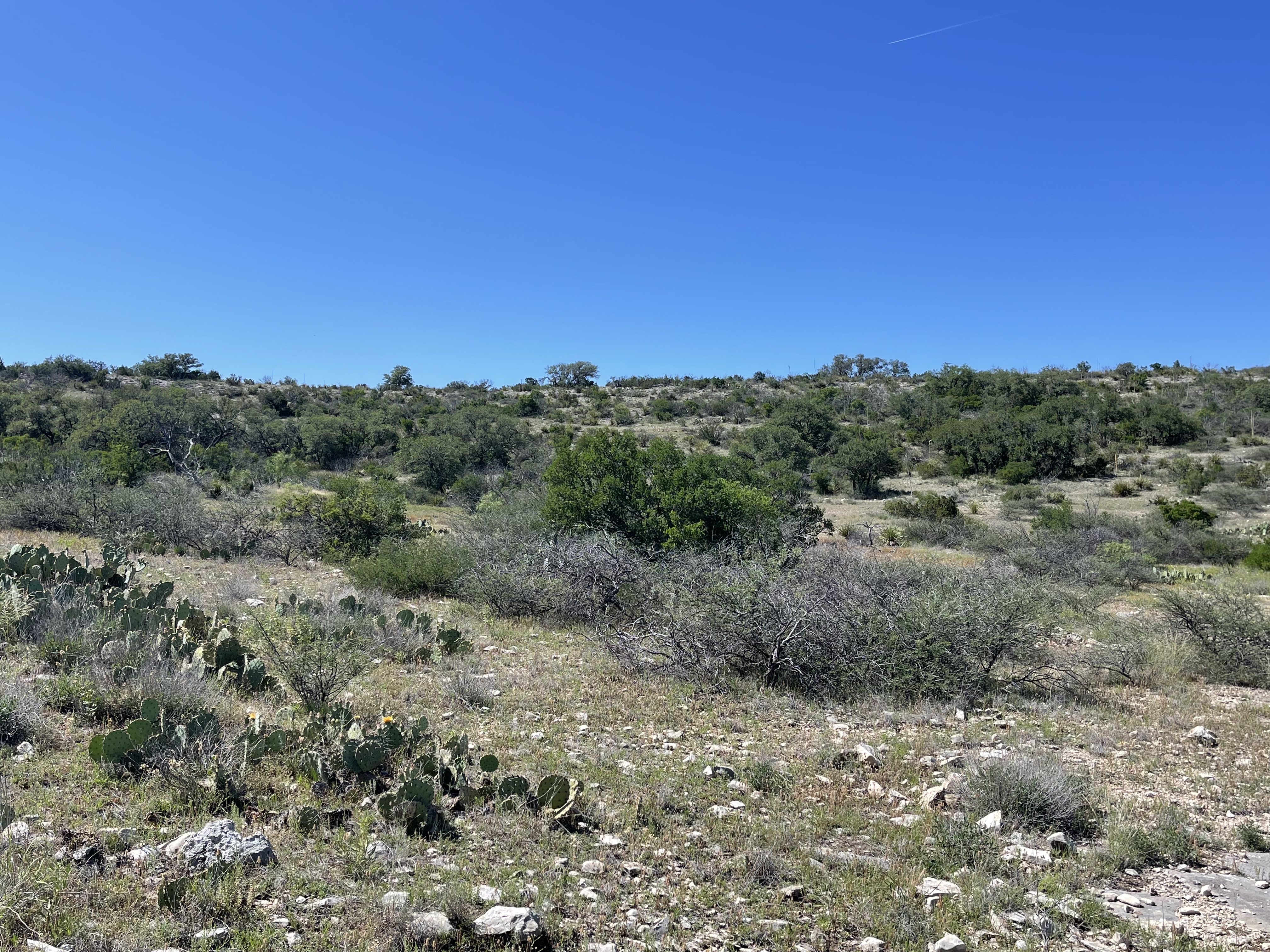 County Line Ranch Sonora Texas - Texas Land Brokerage