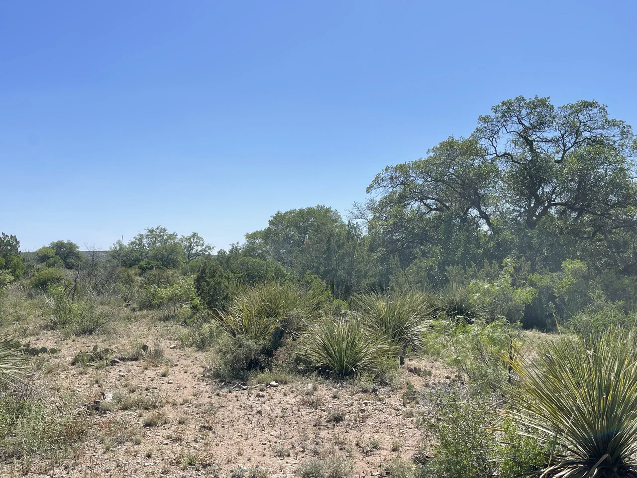 County Line Ranch Sonora Texas - Texas Land Brokerage