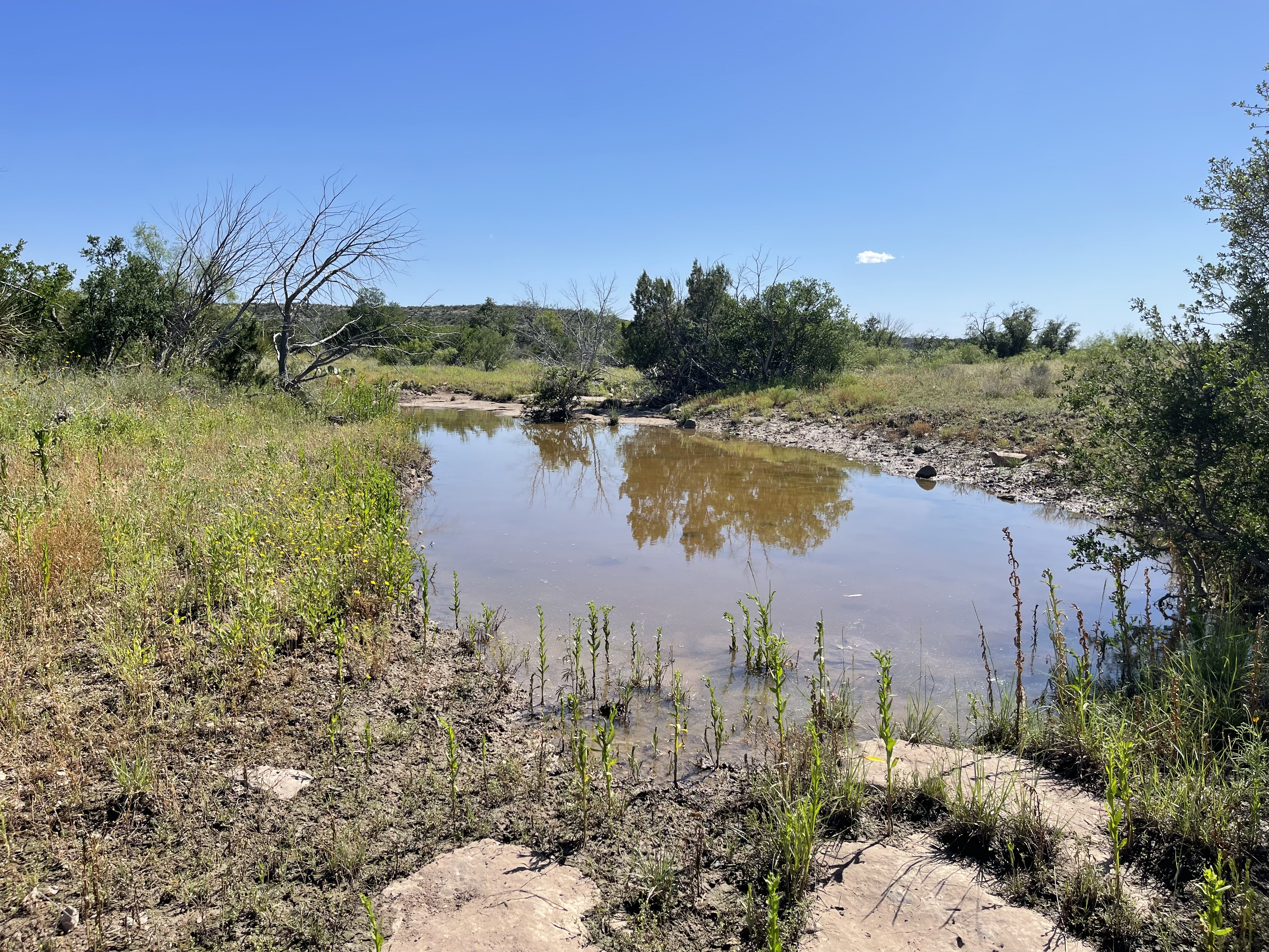 County Line Ranch Sonora Texas - Texas Land Brokerage