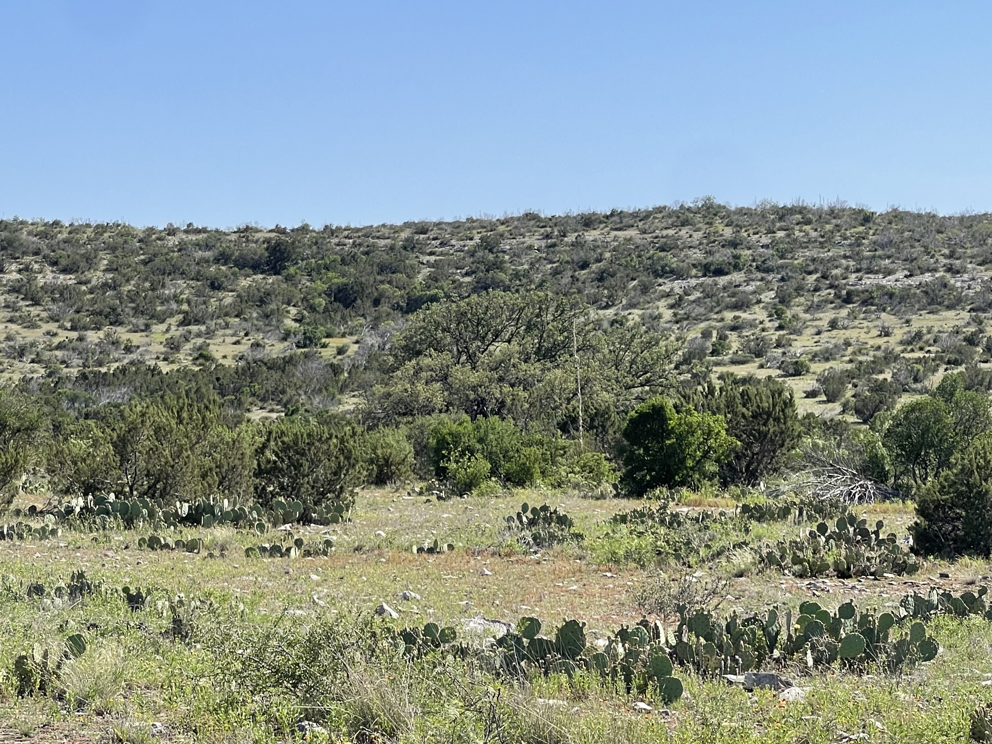 County Line Ranch Sonora Texas - Texas Land Brokerage