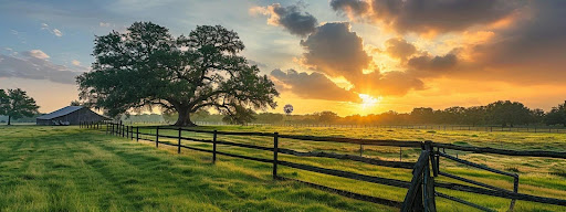 Texas Landscape Image - Key Questions for Potential Texas Ranch Owners