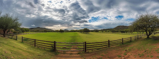 Texas Landscape Image - Key Questions for Potential Texas Ranch Owners