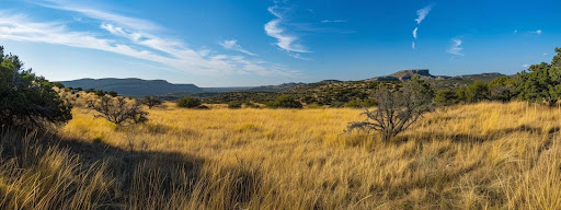 Texas Land Brokerage Steps to Prepare Your Texas Land for a Successful Sale Landscape Image