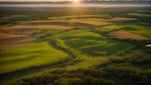 Texas Land Brokerage Steps to Prepare Your Texas Land for a Successful Sale Landscape Image