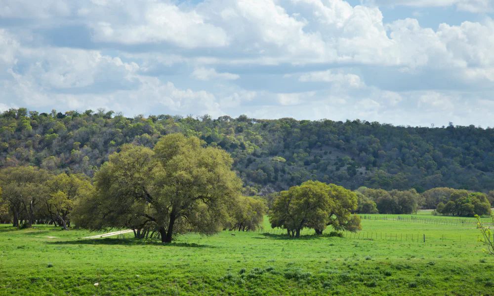 Kinney County Land Guide: What Buyers Should Know About Pinto Creek & Northern Kinney
