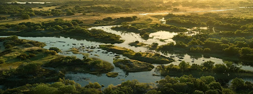 Texas Landscape Wildlife Exemptions