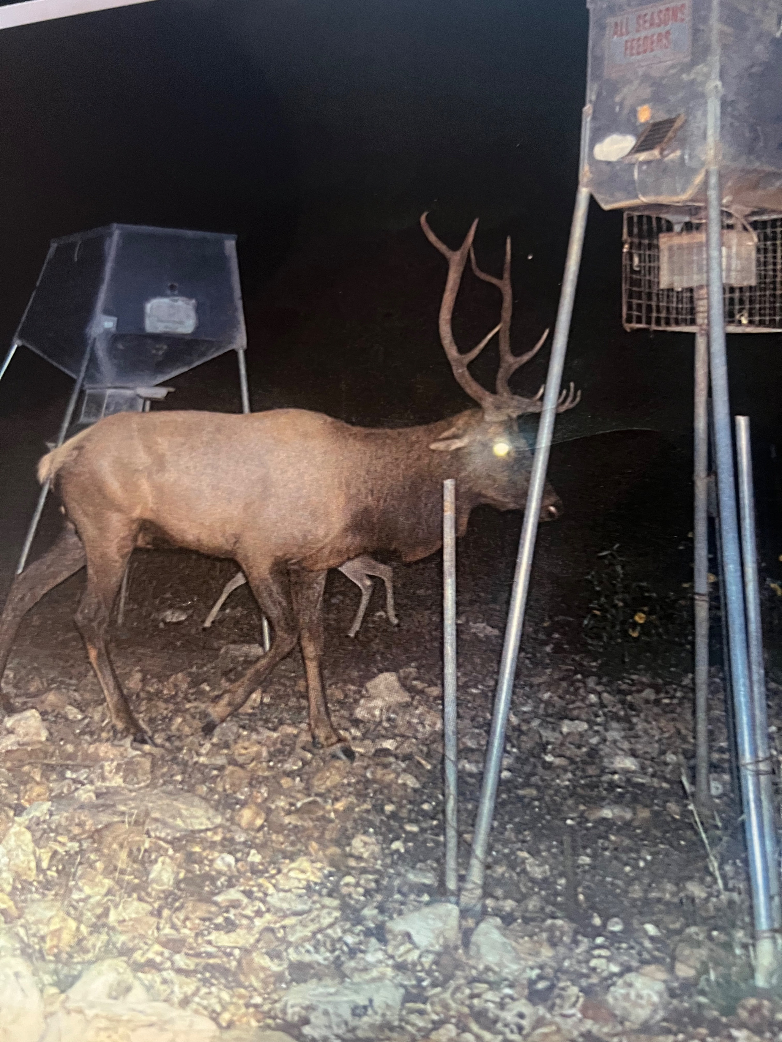 Elk Camp Crossing Ranch Rocksprings Texas, Landscape Image - Texas Land Brokerage