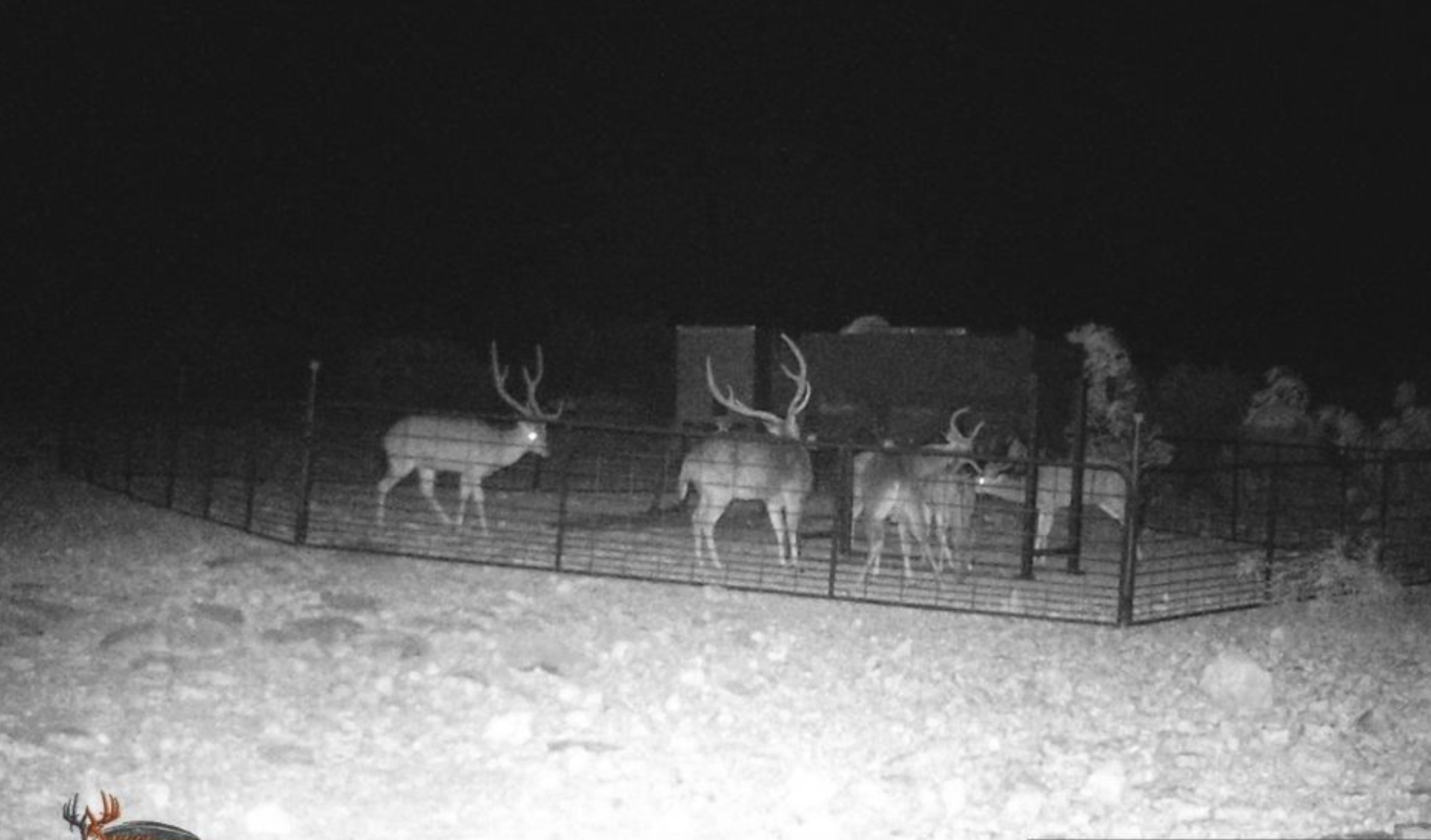 Ranch Property 463 Headquarters, Sonora, Texas - Texas Land Brokerage