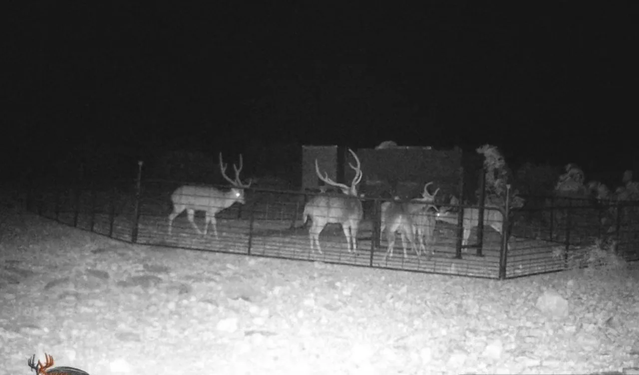 Ranch Property 463 Headquarters, Sonora, Texas - Texas Land Brokerage