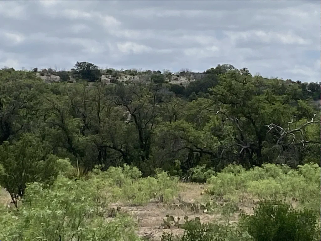 463 Ranch Headquarters - Sonora, TX | TLB